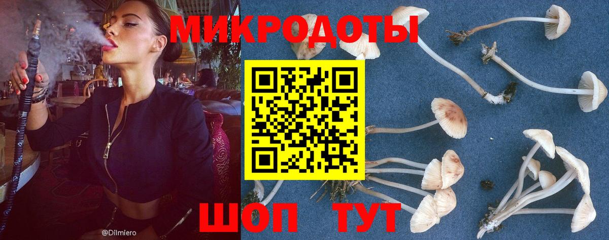 Псилоцибиновые грибы ЛСД  Псилоцибиновые грибы Cubensis  Вход с VPN  Выкса 