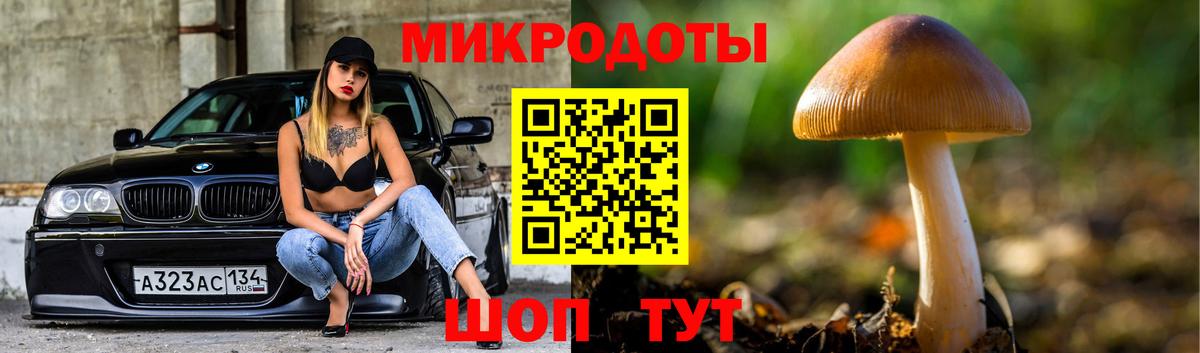 Псилоцибиновые грибы Psilocybine cubensis Выкса